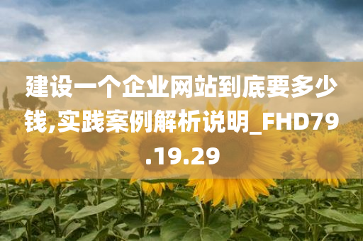 建设一个企业网站到底要多少钱,实践案例解析说明_FHD79.19.29