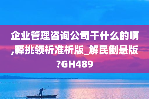 企业管理咨询公司干什么的啊,释挑领析准析版_解民倒悬版?GH489