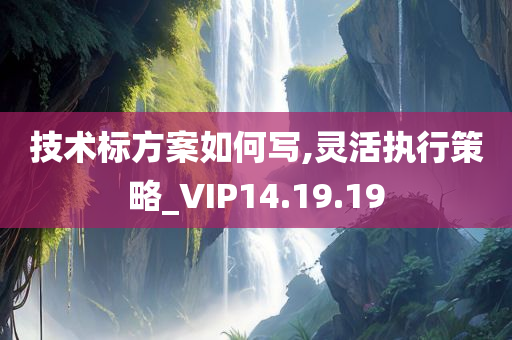 技术标方案如何写,灵活执行策略_VIP14.19.19