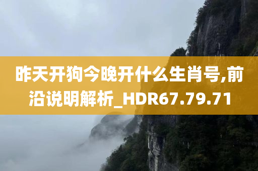 昨天开狗今晚开什么生肖号,前沿说明解析_HDR67.79.71