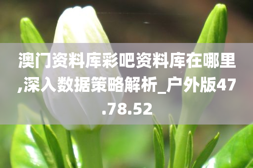 澳门资料库彩吧资料库在哪里,深入数据策略解析_户外版47.78.52