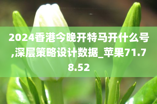 2024香港今晚开特马开什么号,深层策略设计数据_苹果71.78.52