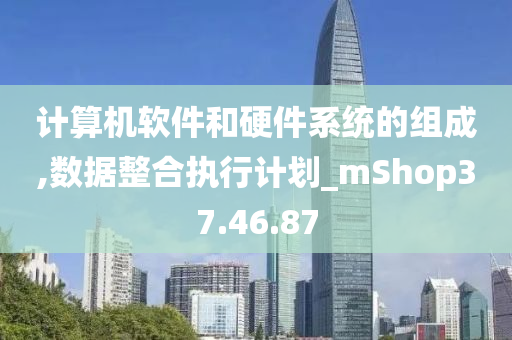 计算机软件和硬件系统的组成,数据整合执行计划_mShop37.46.87