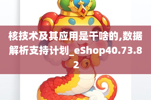 核技术及其应用是干啥的,数据解析支持计划_eShop40.73.82