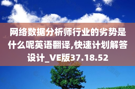 网络数据分析师行业的劣势是什么呢英语翻译,快速计划解答设计_VE版37.18.52