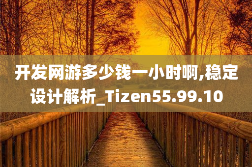 开发网游多少钱一小时啊,稳定设计解析_Tizen55.99.10