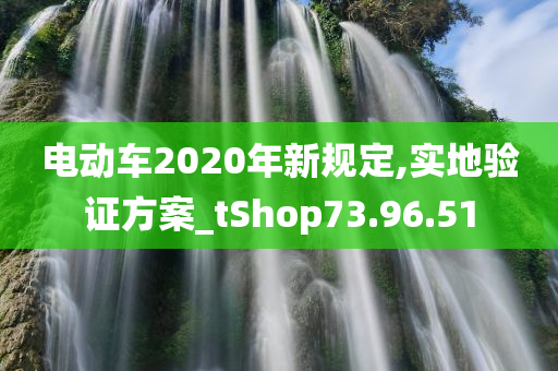 电动车2020年新规定,实地验证方案_tShop73.96.51