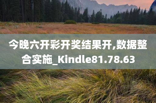 今晚六开彩开奖结果开,数据整合实施_Kindle81.78.63