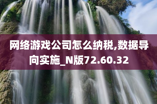 网络游戏公司怎么纳税,数据导向实施_N版72.60.32