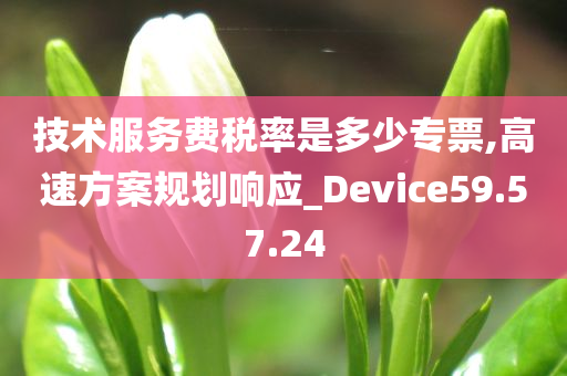 技术服务费税率是多少专票,高速方案规划响应_Device59.57.24