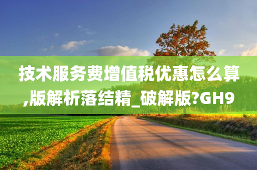 技术服务费增值税优惠怎么算,版解析落结精_破解版?GH9