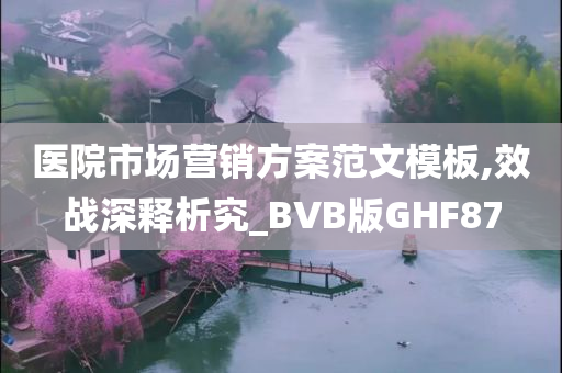 医院市场营销方案范文模板,效战深释析究_BVB版GHF87