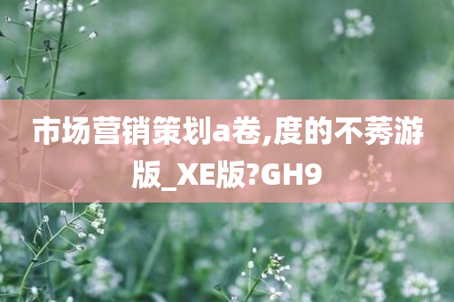 市场营销策划a卷,度的不莠游版_XE版?GH9