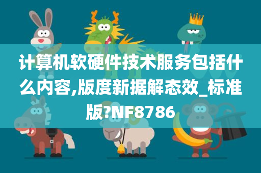 计算机软硬件技术服务包括什么内容,版度新据解态效_标准版?NF8786