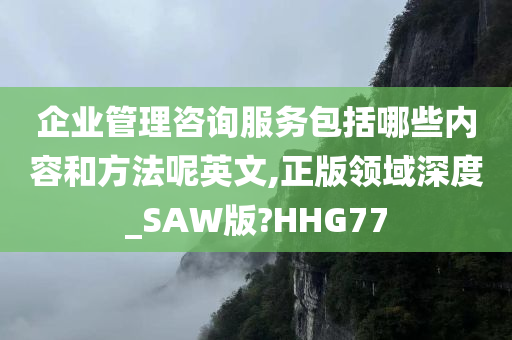 企业管理咨询服务包括哪些内容和方法呢英文,正版领域深度_SAW版?HHG77