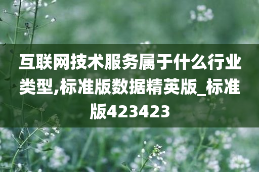 互联网技术服务属于什么行业类型,标准版数据精英版_标准版423423