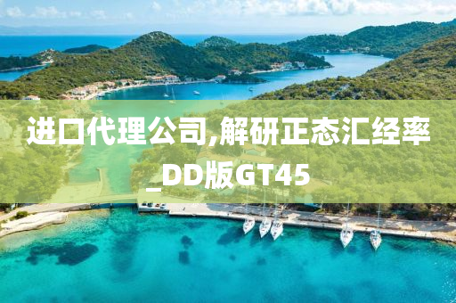 进口代理公司,解研正态汇经率_DD版GT45