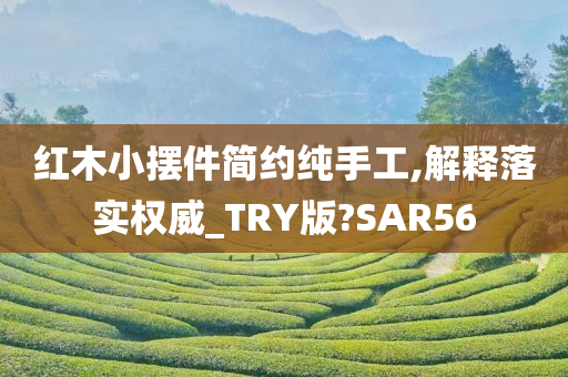 红木小摆件简约纯手工,解释落实权威_TRY版?SAR56