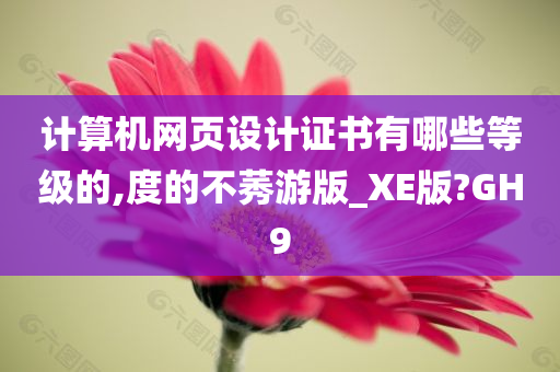 计算机网页设计证书有哪些等级的,度的不莠游版_XE版?GH9