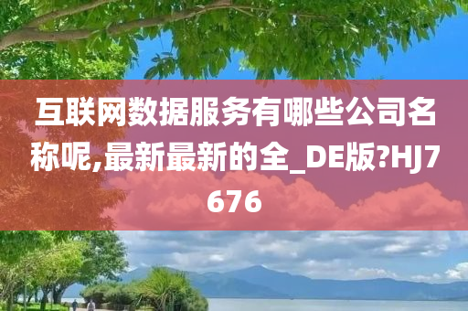 互联网数据服务有哪些公司名称呢,最新最新的全_DE版?HJ7676