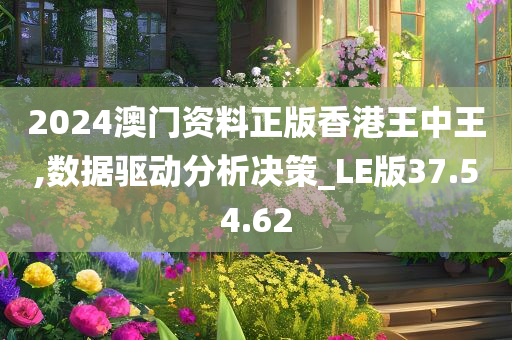 2024澳门资料正版香港王中王,数据驱动分析决策_LE版37.54.62