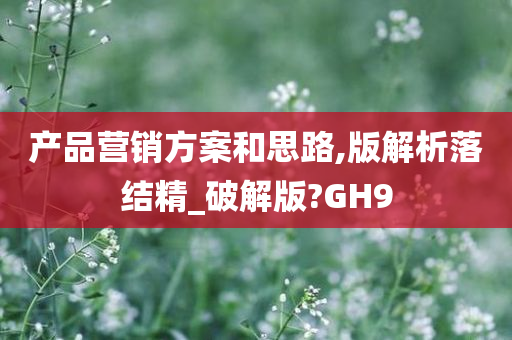 产品营销方案和思路,版解析落结精_破解版?GH9