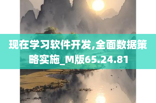 现在学习软件开发,全面数据策略实施_M版65.24.81