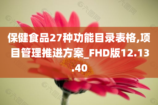 保健食品27种功能目录表格,项目管理推进方案_FHD版12.13.40