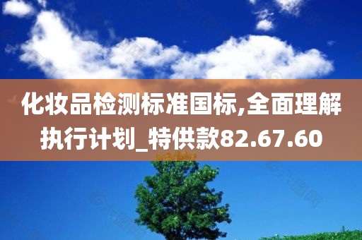 化妆品检测标准国标,全面理解执行计划_特供款82.67.60