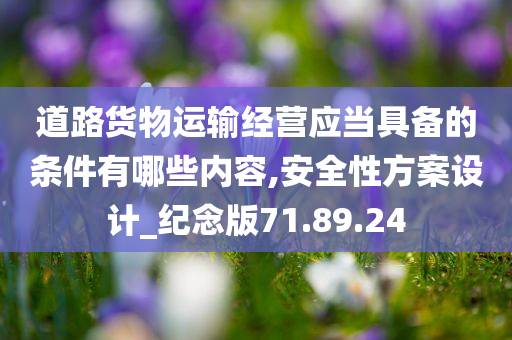 道路货物运输经营应当具备的条件有哪些内容,安全性方案设计_纪念版71.89.24