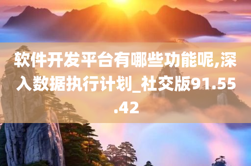 软件开发平台有哪些功能呢,深入数据执行计划_社交版91.55.42