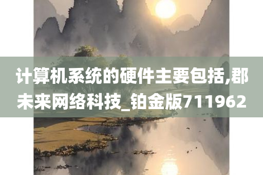 计算机系统的硬件主要包括,郡未来网络科技_铂金版711962