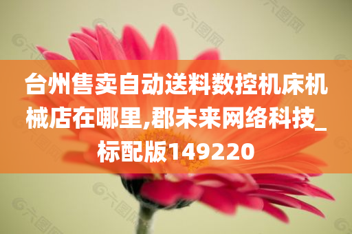 台州售卖自动送料数控机床机械店在哪里,郡未来网络科技_标配版149220