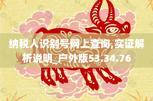 纳税人识别号网上查询,实证解析说明_户外版53.34.76