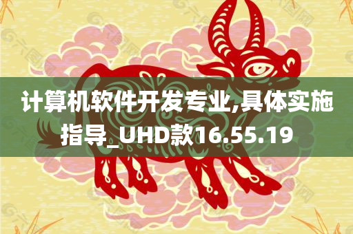 计算机软件开发专业,具体实施指导_UHD款16.55.19