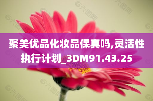 聚美优品化妆品保真吗,灵活性执行计划_3DM91.43.25