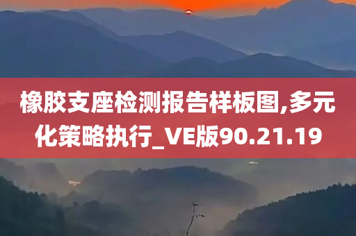 橡胶支座检测报告样板图,多元化策略执行_VE版90.21.19