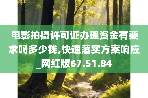 电影拍摄许可证办理资金有要求吗多少钱,快速落实方案响应_网红版67.51.84