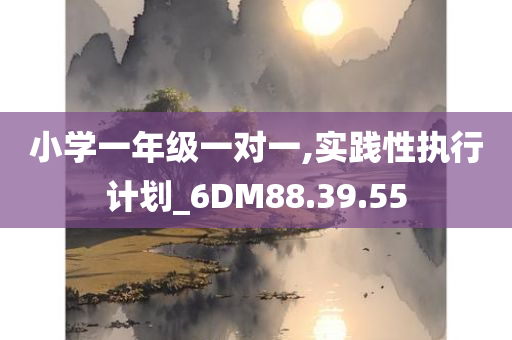 小学一年级一对一,实践性执行计划_6DM88.39.55