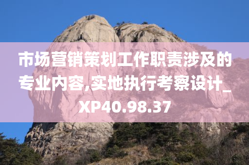 市场营销策划工作职责涉及的专业内容,实地执行考察设计_XP40.98.37