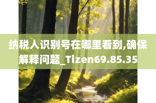 纳税人识别号在哪里看到,确保解释问题_Tizen69.85.35