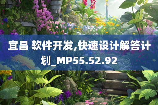 宜昌 软件开发,快速设计解答计划_MP55.52.92