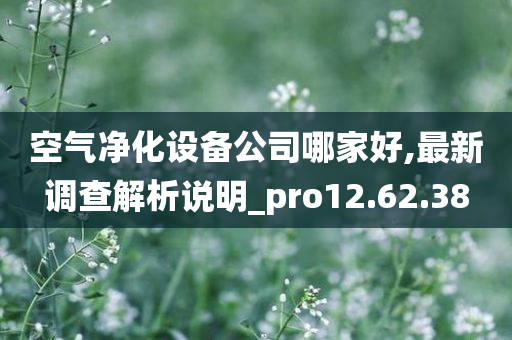 空气净化设备公司哪家好,最新调查解析说明_pro12.62.38