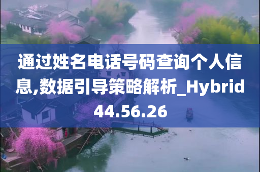 通过姓名电话号码查询个人信息,数据引导策略解析_Hybrid44.56.26