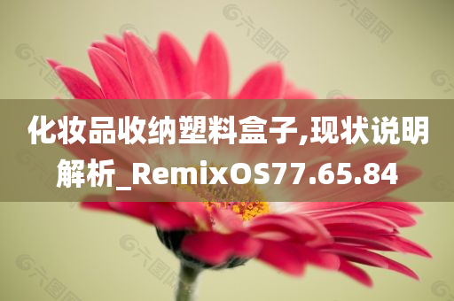 化妆品收纳塑料盒子,现状说明解析_RemixOS77.65.84