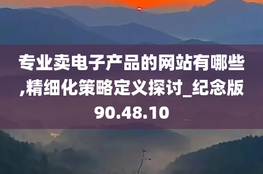 专业卖电子产品的网站有哪些,精细化策略定义探讨_纪念版90.48.10