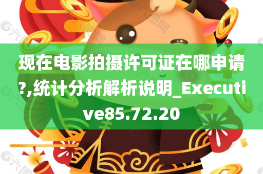 现在电影拍摄许可证在哪申请?,统计分析解析说明_Executive85.72.20