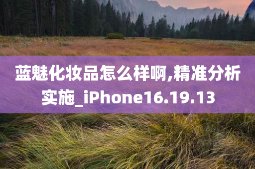 蓝魅化妆品怎么样啊,精准分析实施_iPhone16.19.13