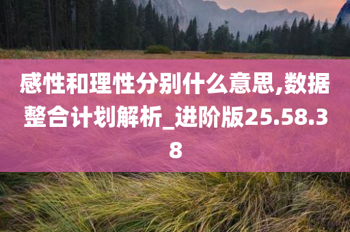 感性和理性分别什么意思,数据整合计划解析_进阶版25.58.38