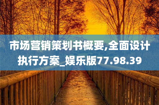 市场营销策划书概要,全面设计执行方案_娱乐版77.98.39